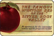 rare pamphlet on apples